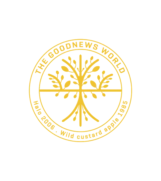 Goodnewsworld
